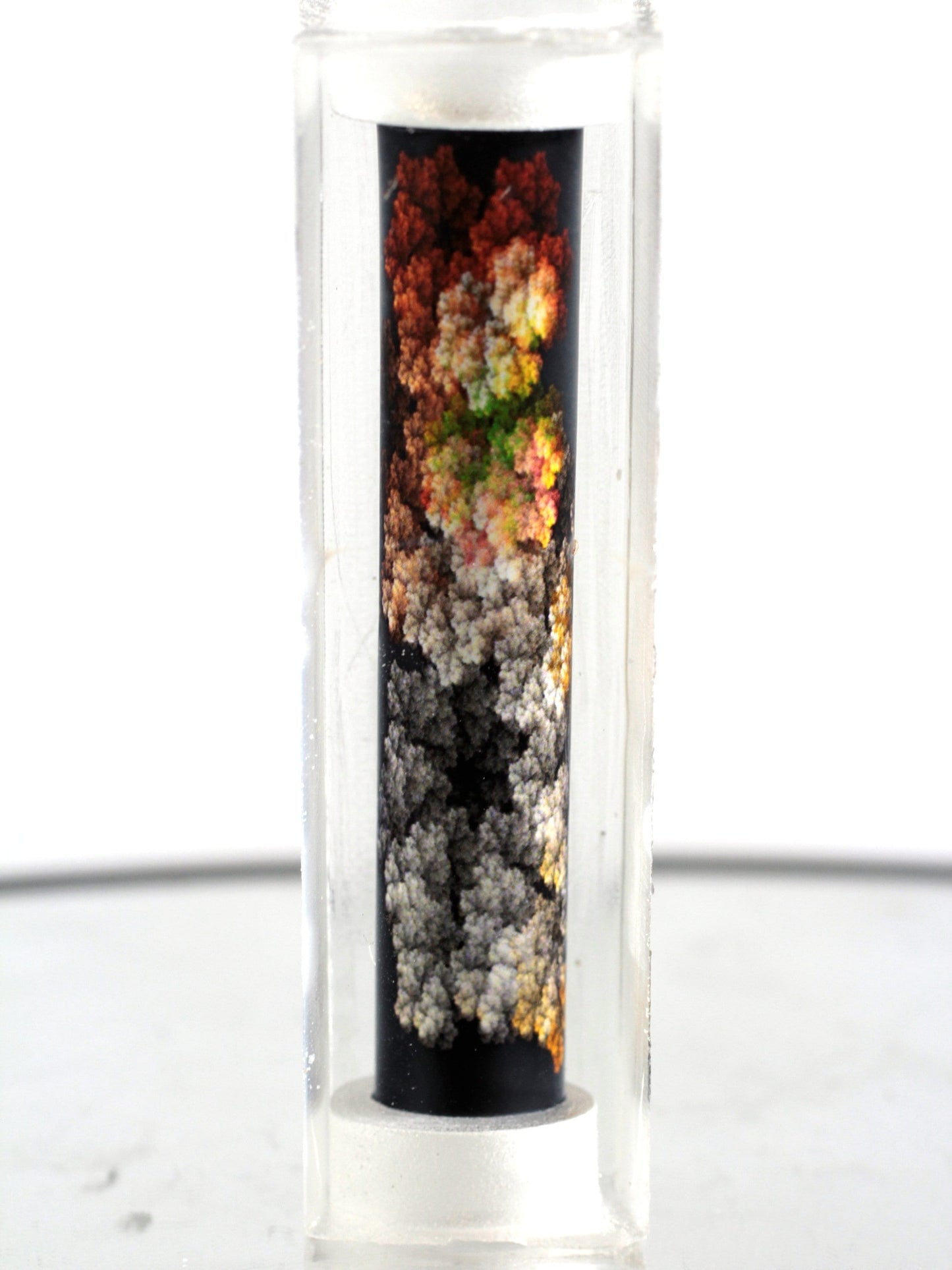 Coral Explosion - Fractal Art Sierra Twist Pen Blank - Great Gift for any Friend