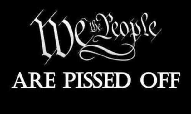 Patriotic Resin Cast We The People Are Pissed Off Bolt Action Pen Blank